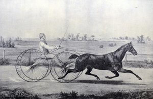 Currier & Ives İllüstrasyon 19. Yüzyıl. Flora Tapınağı by N. and Ives, J.M. Currier